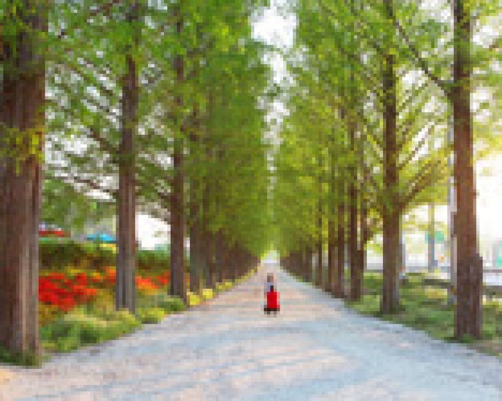 담양관광을 위한 최적의 베이스캠프